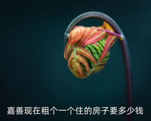 嘉善靠近上海市界的房?jī)r(jià)租價(jià)，嘉善房子好出租嗎啥價(jià)