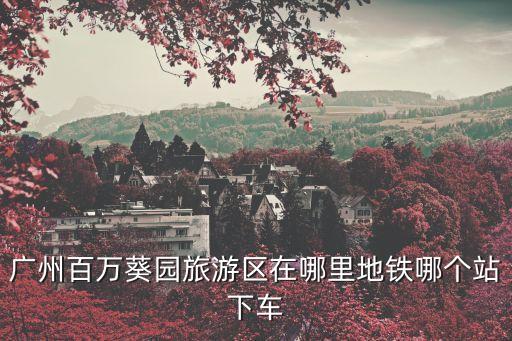 廣州百萬葵園旅游區在哪里地鐵哪個站下車