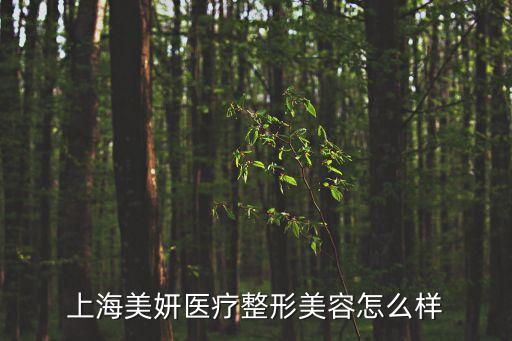 上海美妍醫(yī)療整形美容怎么樣