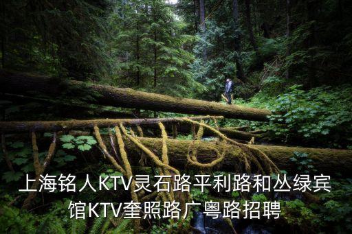 上海市新銘人夜總會(huì)，上海銘人KTV靈石路平利路和叢綠賓館KTV奎照路廣粵路招聘
