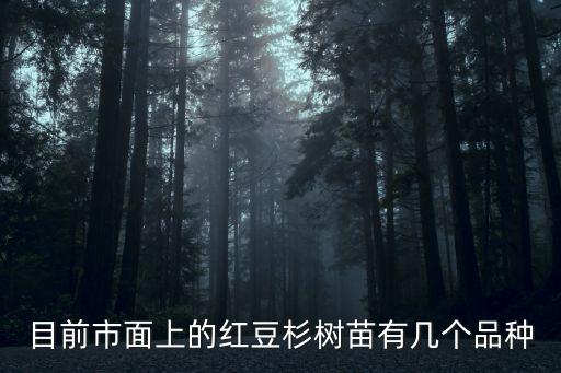 目前市面上的紅豆杉樹苗有幾個品種