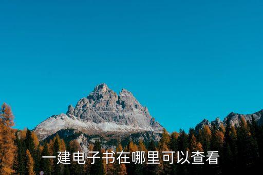 一建電子書在哪里可以查看