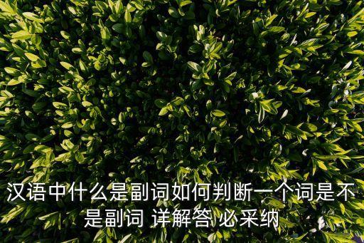 漢語中什么是副詞如何判斷一個詞是不是副詞 詳解答 必采納