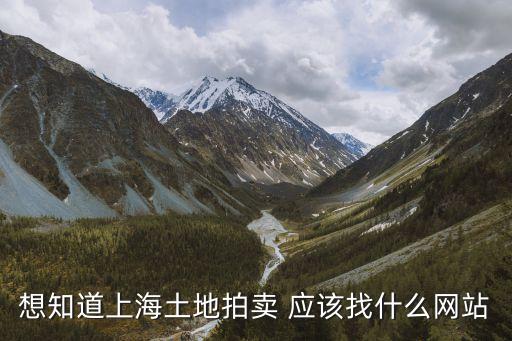 上海市國土資源有限公司，想知道上海土地拍賣 應該找什么網站