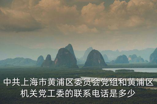 中共上海市黃浦區(qū)委員會(huì)黨組和黃浦區(qū)機(jī)關(guān)黨工委的聯(lián)系電話是多少