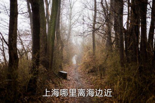 上海市那里靠近大海，上海哪里離海邊近