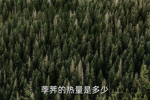 荸薺熱量，荸薺的熱量是多少