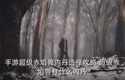 超級(jí)赤焰獸，夢(mèng)幻西游赤炎獸技能