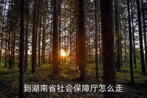 湖南省社保，湖南省企業(yè)職工參加社保是從何年開始執(zhí)行