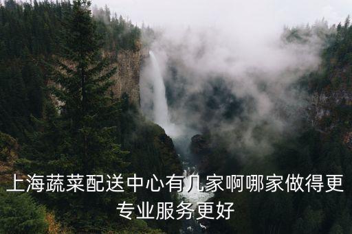 上海蔬菜配送中心有幾家啊哪家做得更專業(yè)服務(wù)更好