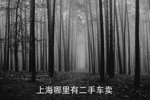 上海哪里有二手車賣