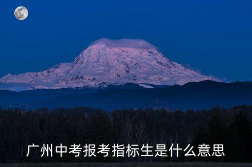 廣州中考報考指標生是什么意思
