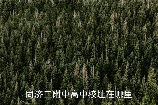 上海市同濟二附中地址，同濟二附中高中校址在哪里