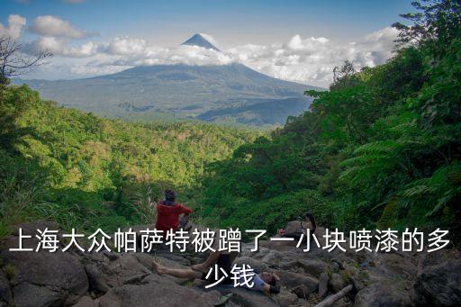 上海大眾帕薩特被蹭了一小塊噴漆的多少錢