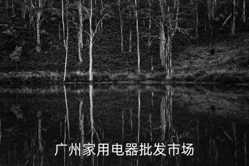 廣州市眾智家用電器，大學新生要來校了哪里有很便宜的排插可以批發(fā)我想賺一筆本人