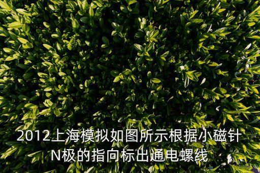 2012上海模擬如圖所示根據(jù)小磁針N極的指向標出通電螺線