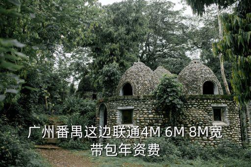 廣州番禺中大的套餐價格，廣州番禺這邊電信上網(wǎng)有哪些套餐怎樣收費