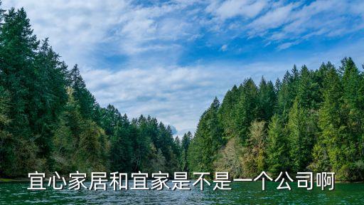 宜心家居和宜家是不是一個(gè)公司啊