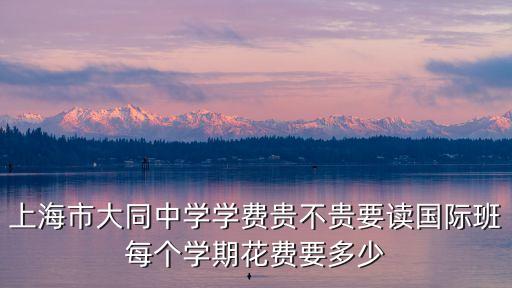 上海市大同中學學費貴不貴要讀國際班每個學期花費要多少