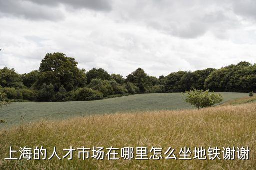 上海市人才招聘地址，請問上海的人才市場在哪個地方