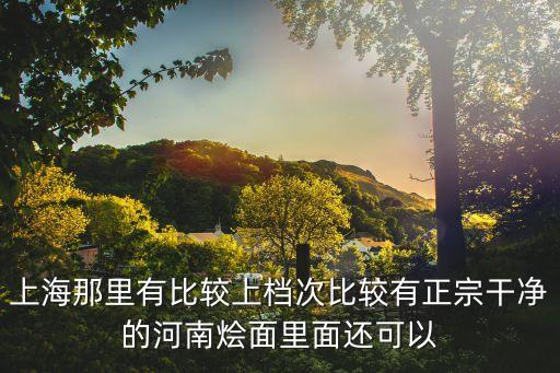 上海那里有比較上檔次比較有正宗干凈的河南燴面里面還可以