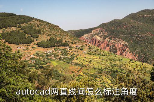 cad標注角度，cad的角度標注的幾種