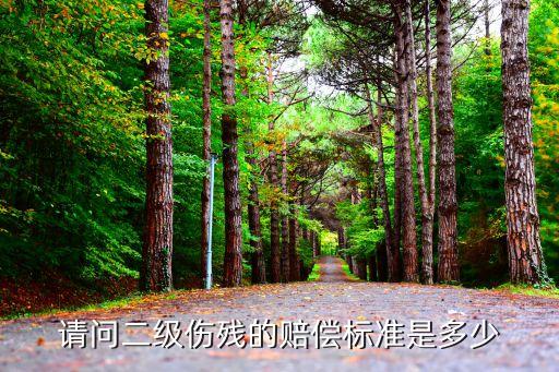 二級(jí)殘疾標(biāo)準(zhǔn)，多高算二級(jí)殘廢