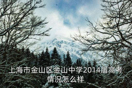 上海市金山區(qū)金山中學(xué)2014屆高考情況怎么樣