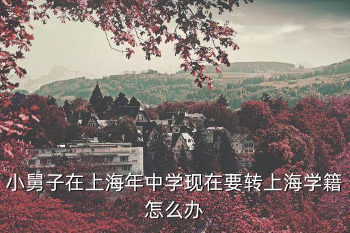 小舅子在上海年中學現在要轉上海學籍怎么辦