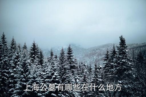 上海市 所有 墓園，上海有哪些墓地