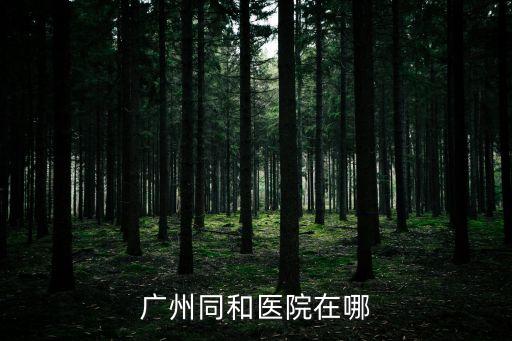 廣州同和鎮(zhèn)的醫(yī)院，廣州同和醫(yī)院在哪