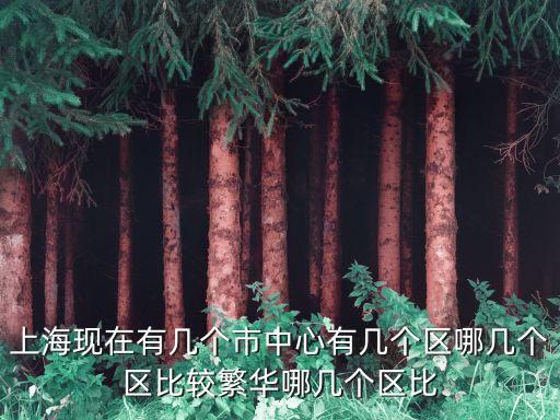 上海現在有幾個市中心有幾個區哪幾個區比較繁華哪幾個區比