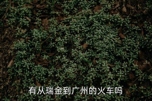 瑞金有直達(dá)去廣州的火車嗎，有從瑞金到廣州的火車嗎