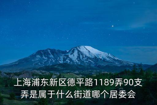 上海浦東新區德平路1189弄90支弄是屬于什么街道哪個居委會