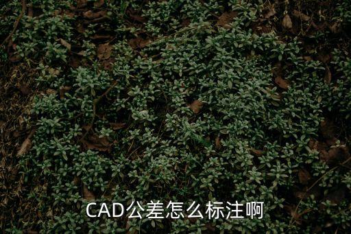 cad標注公差，CAD制圖如何標注公差