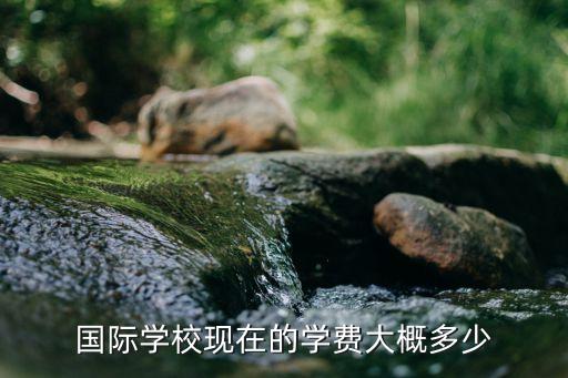 上海市國際小學 學費，上海世界外國語小學的一年的學費是多少