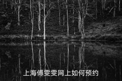 上海傅雯雯網上如何預約