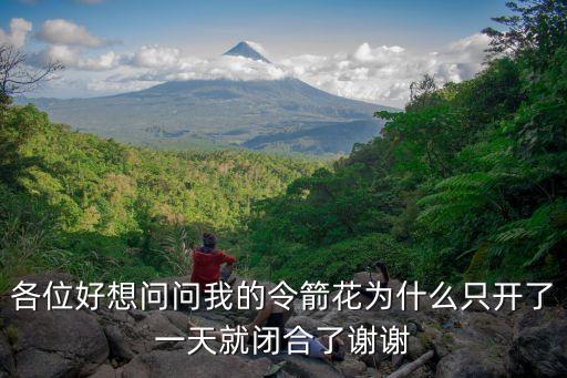 各位好想問問我的令箭花為什么只開了一天就閉合了謝謝