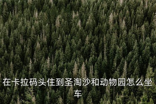 在卡拉碼頭住到圣淘沙和動物園怎么坐車