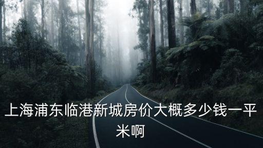 上海浦東臨港新城房價(jià)大概多少錢一平米啊
