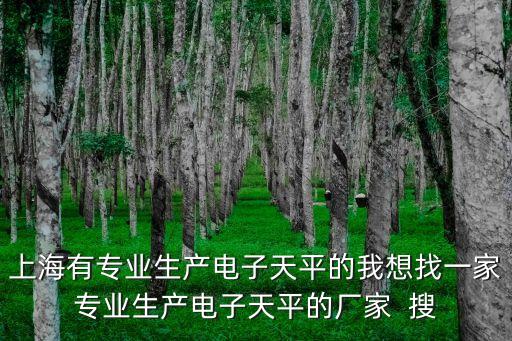 上海市天平儀器廠，上海有專業生產電子天平的我想找一家專業生產電子天平的廠家  搜