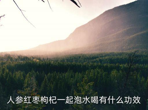 人參枸杞，人參紅棗枸杞一起泡水喝有什么功效