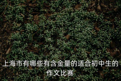 上海市有哪些有含金量的適合初中生的作文比賽