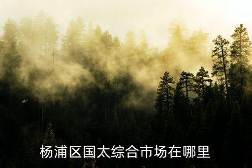 楊浦區國太綜合市場在哪里
