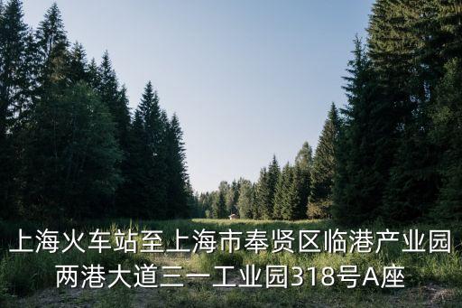 上?；疖囌局辽虾Ｊ蟹钯t區臨港產業園兩港大道三一工業園318號A座