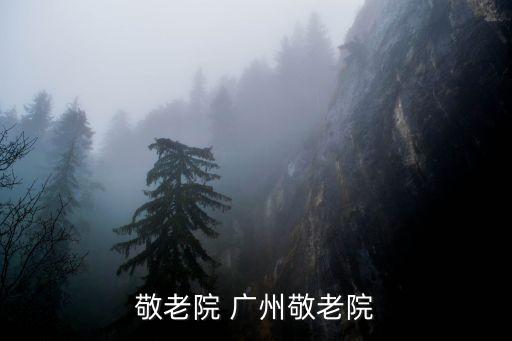 敬老院 廣州敬老院