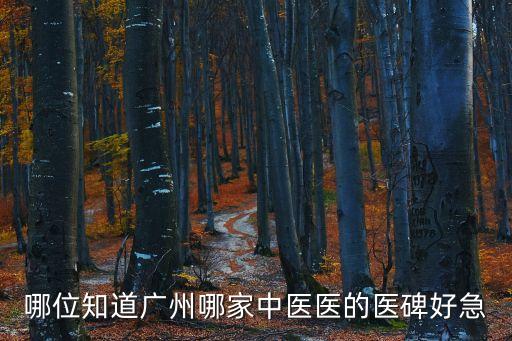 廣州好的中醫館推薦，廣州市中醫那家較好