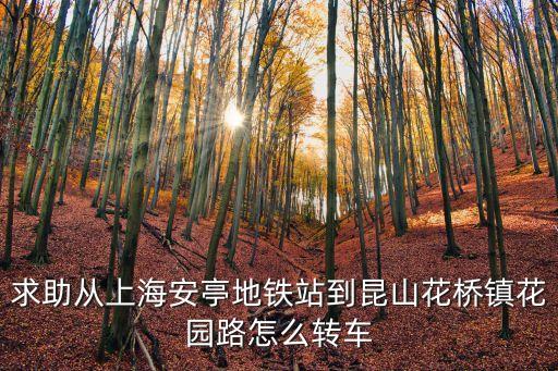 求助從上海安亭地鐵站到昆山花橋鎮花園路怎么轉車