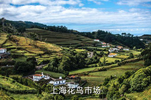 上海市浦江頤城，想知道 上海市浦江瑞和城在哪