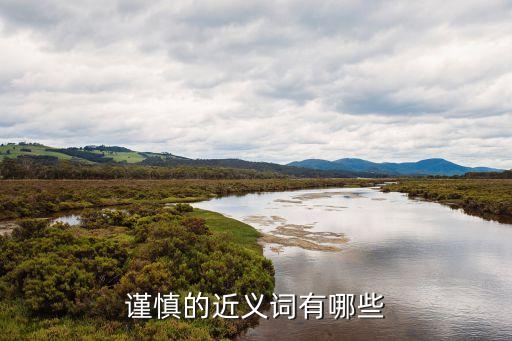 謹慎的近義詞有哪些